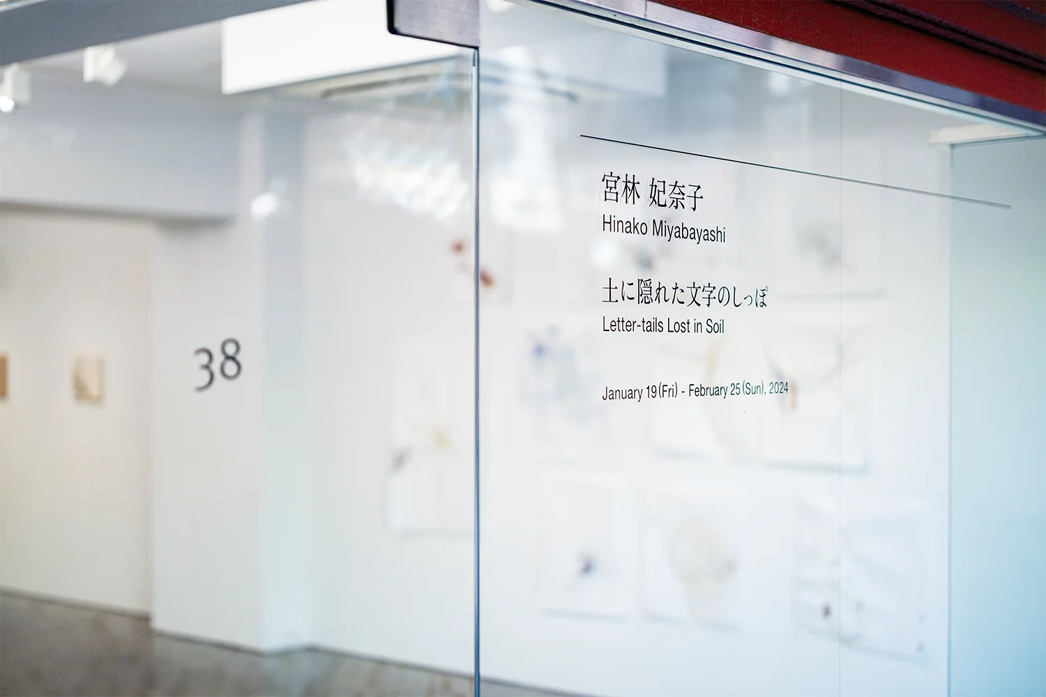 Letter-tails Lost in Soil 01