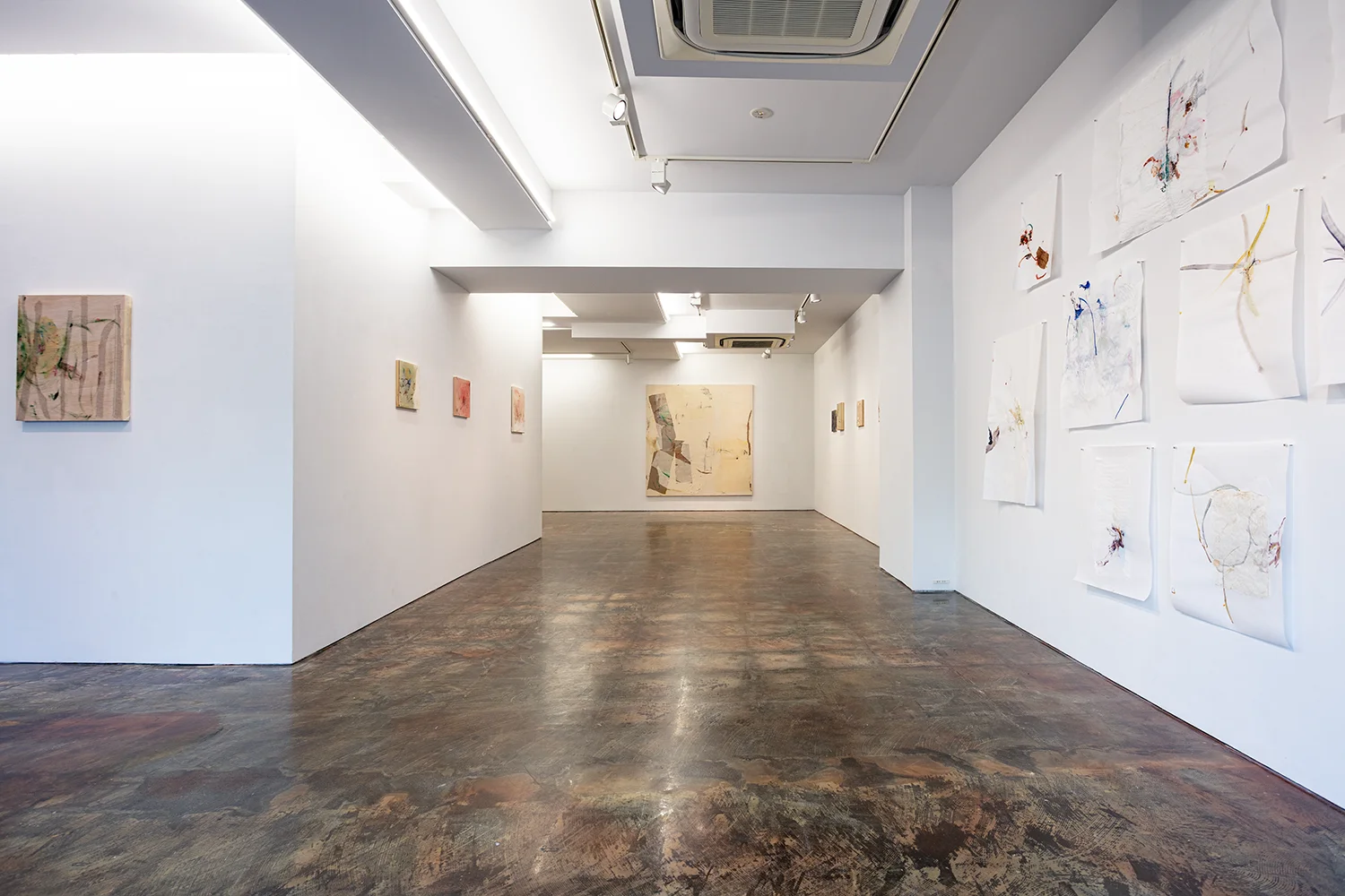 Letter-tails Lost in Soil 02