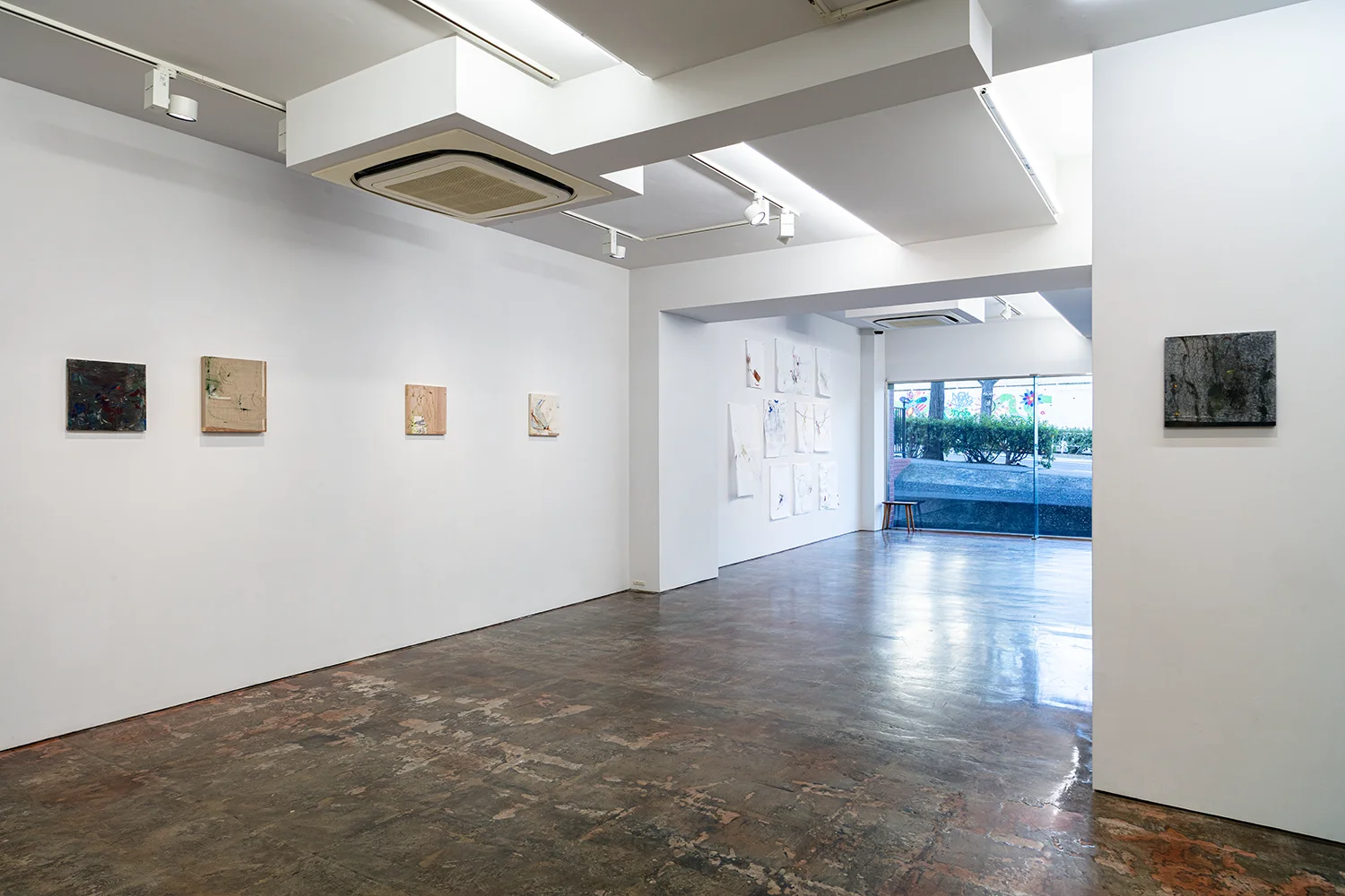 Letter-tails Lost in Soil 04