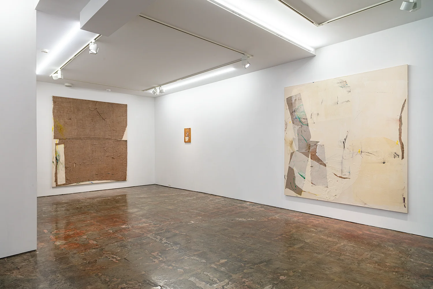 Letter-tails Lost in Soil 05