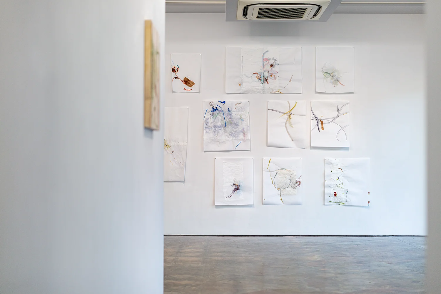 Letter-tails Lost in Soil 07