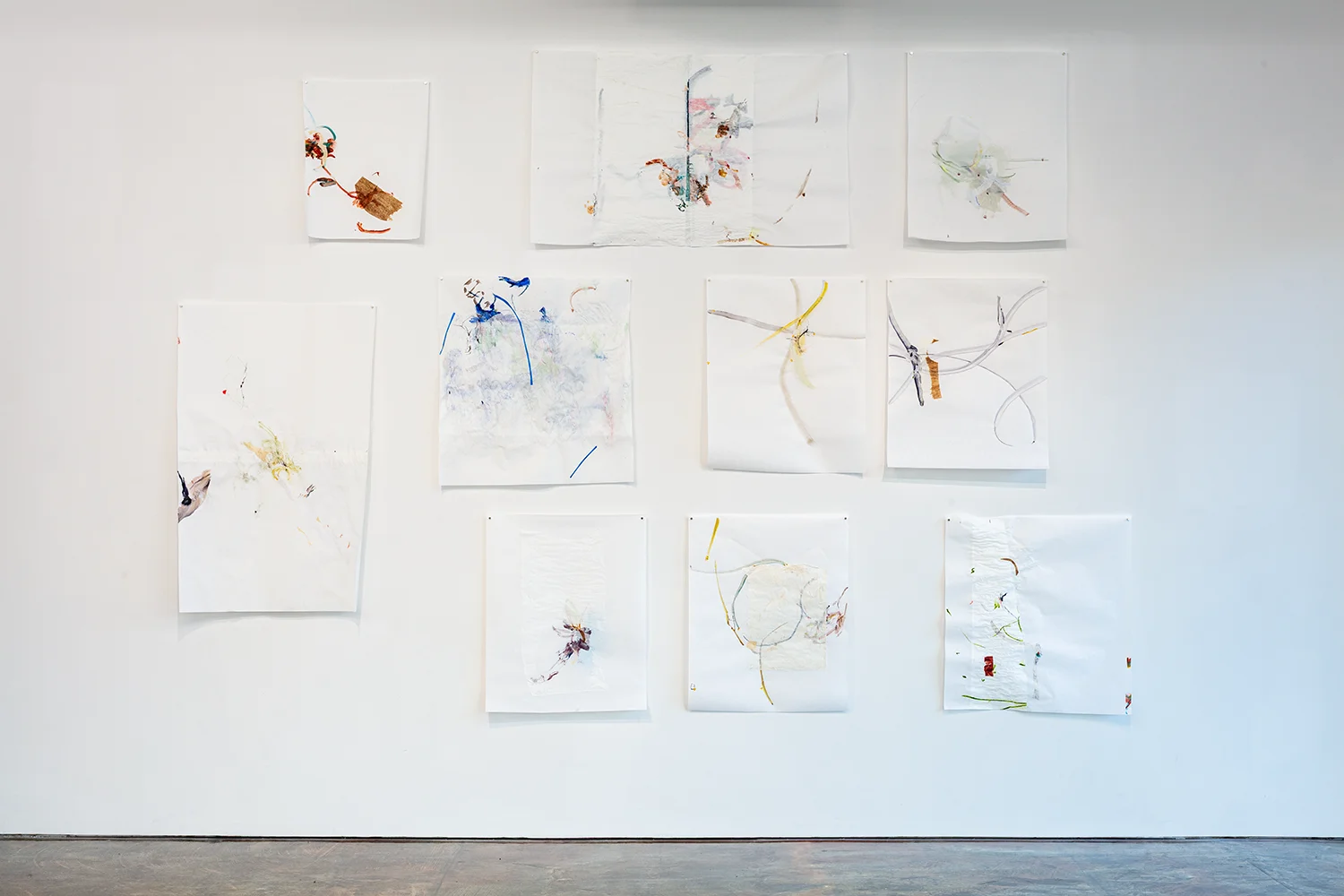 Letter-tails Lost in Soil 08