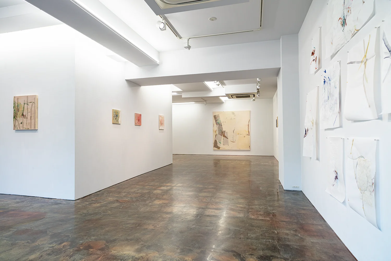 Letter-tails Lost in Soil 09