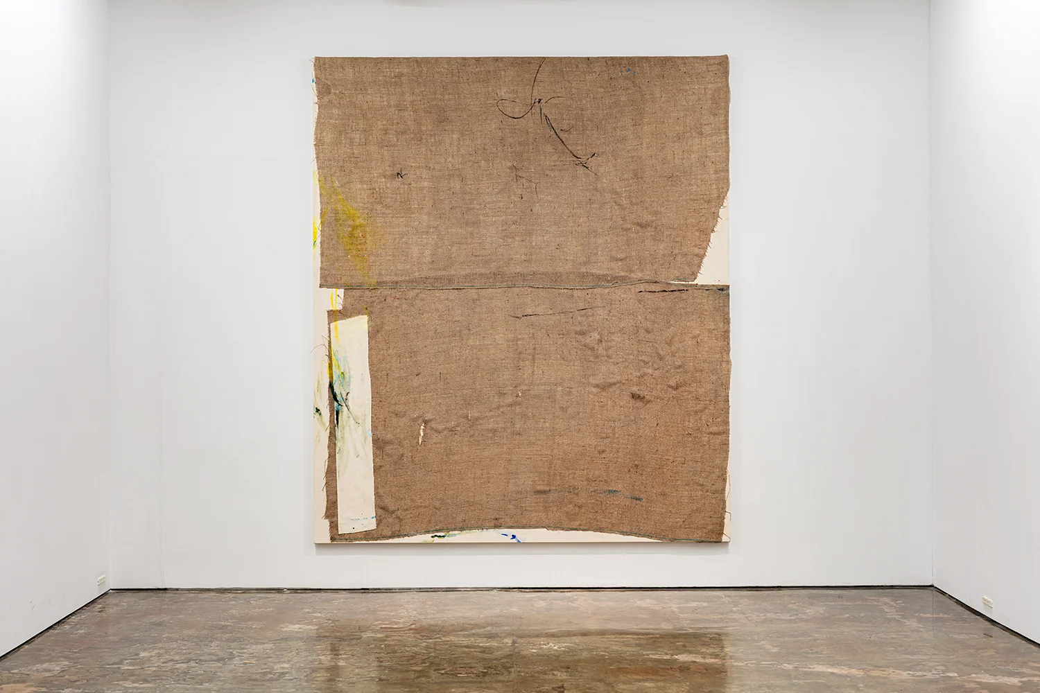 Letter-tails Lost in Soil 11