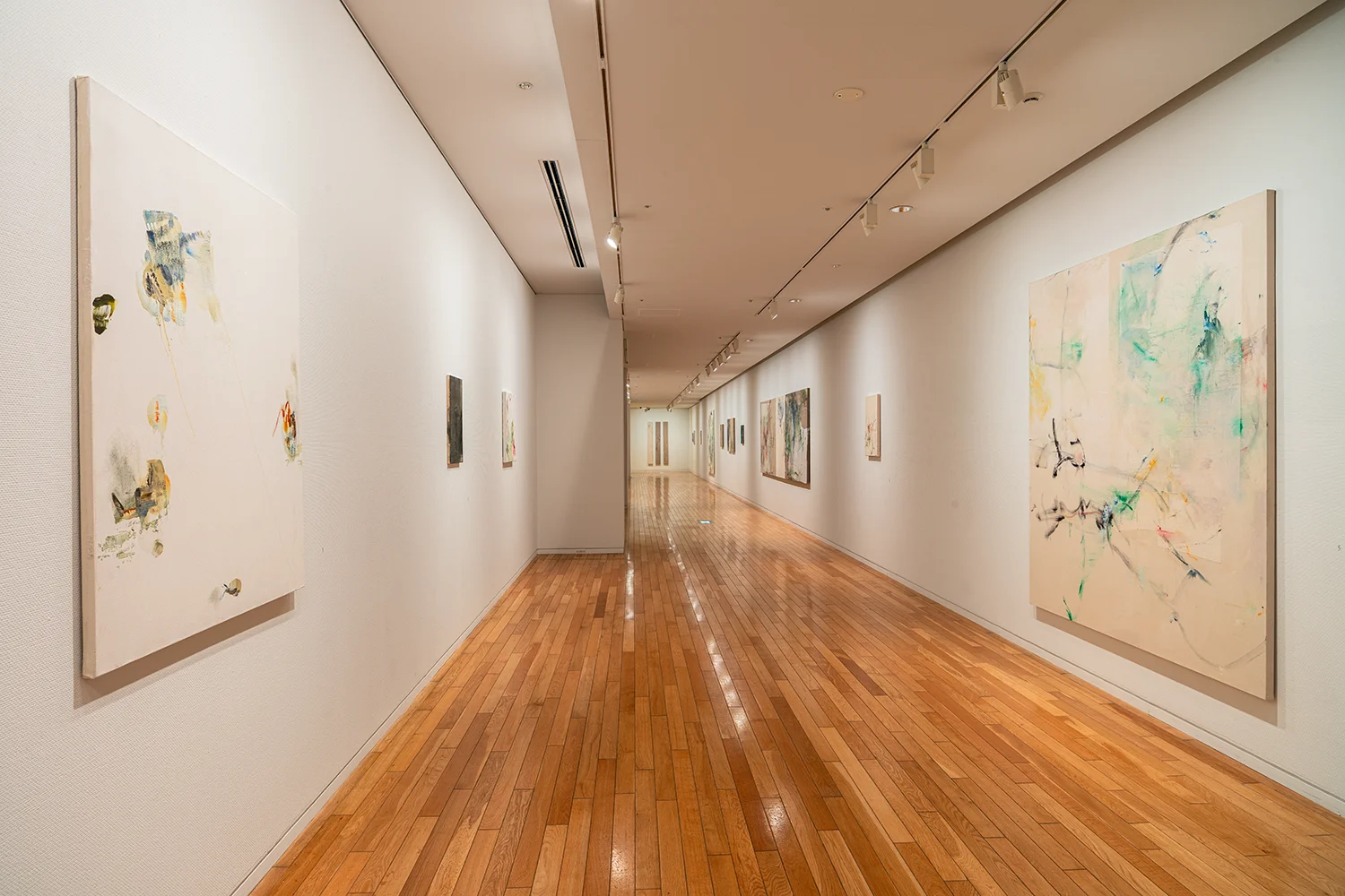 project N 93 thumbnail